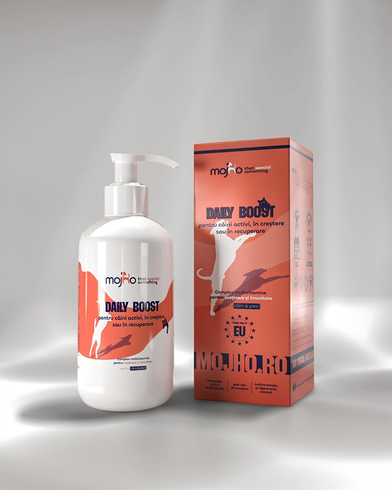 Daily Boost - Complex multivitamine pentru susținere și imunitate