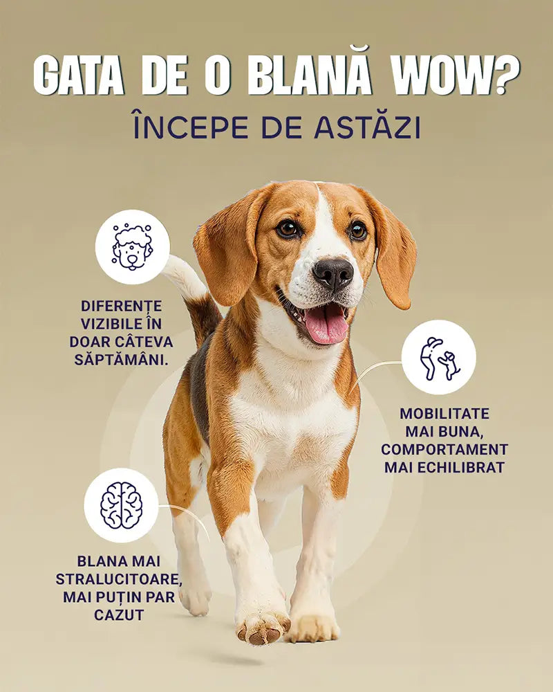 Mega Omega - Formulă lichidă pentru sănătatea pielii, blănii, creierului și a inimii 50ml