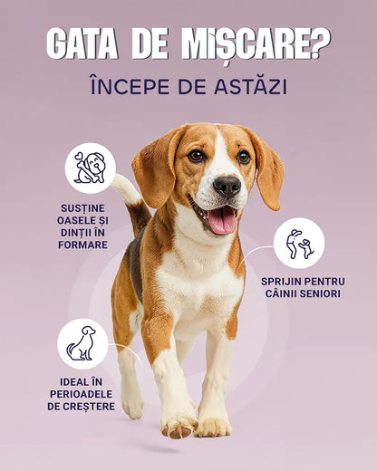Calciummm Plus - Formulă lichidă pentru susținerea oaselor, dinților și mușchilor