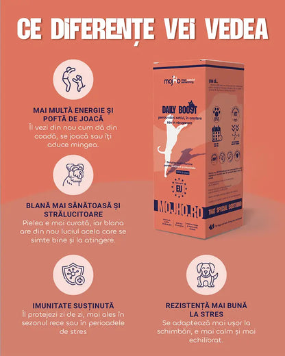 Daily Boost - Complex multivitamine pentru susținere și imunitate