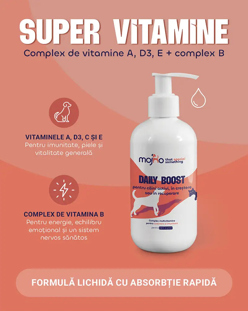 Daily Boost - Complex multivitamine pentru susținere și imunitate