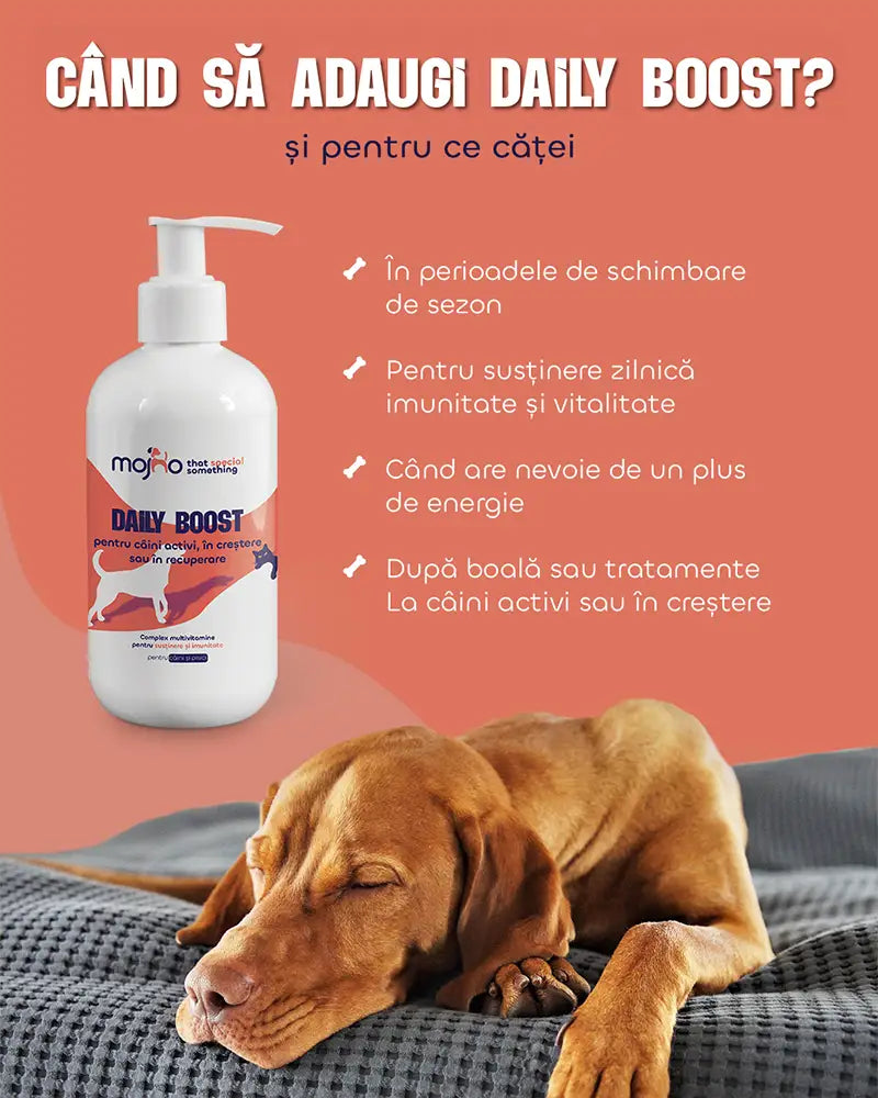 Daily Boost - Complex multivitamine pentru susținere și imunitate