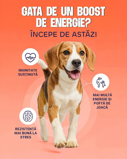 Daily Boost - Complex multivitamine pentru susținere și imunitate