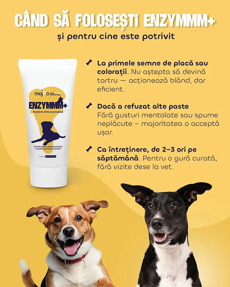 Enzymmm Plus - Pastă de dinți enzimatică