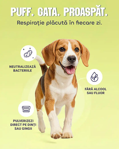 Herbal Puff - Spray oral cu extracte naturale