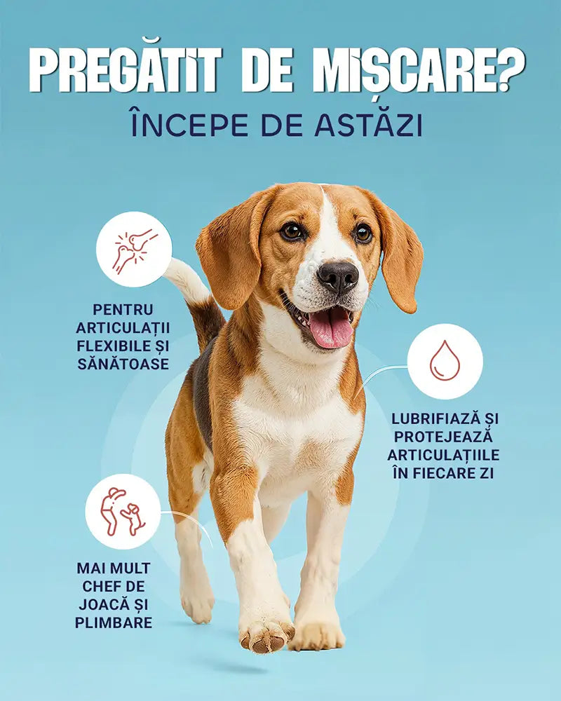 Joint Boost - Formulă lichidă pentru susținerea articulațiilor
